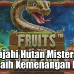 Jelajahi Hutan Misterius dan Raih Kemenangan Besar